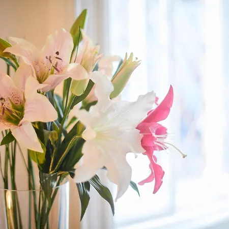 Fireplace Holidays شقة *